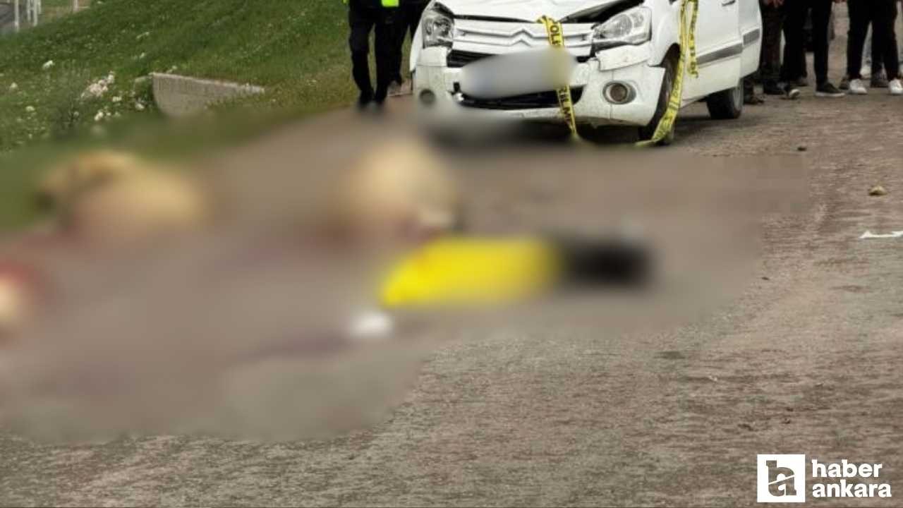 Sivas'ta araç koyun sürüsüne daldı: Çoban hayatını kaybetti, 9 koyun telef oldu