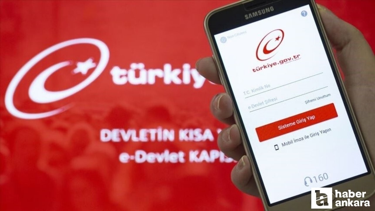 DMM, e-Devlet'e siber saldırı yapıldığı iddiaların