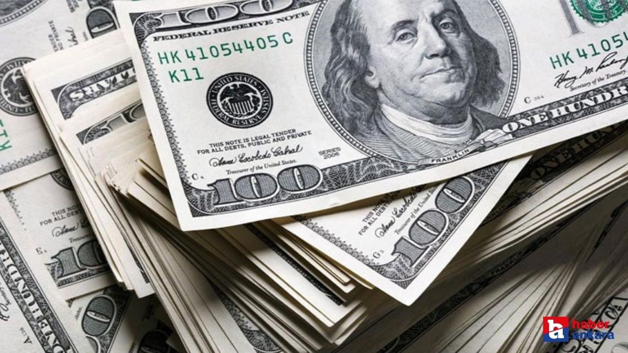 Uzman ekonomistlerden dolar kuru açıklaması! Dolar 30 olacak!
