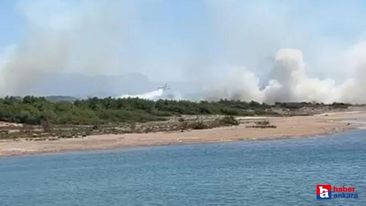 Antalya'da yangın çıktı! Havadan ve karadan müdahale sürüyor!