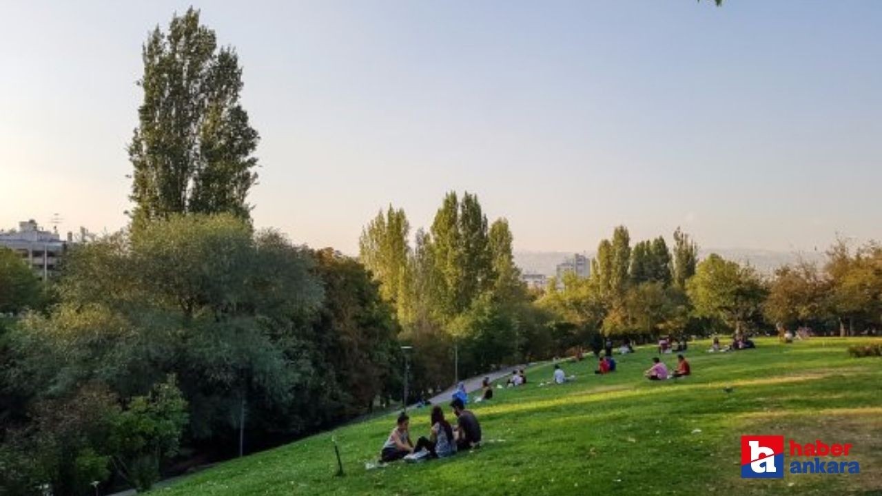 Ankara'nın parklarında alkol tüketmek yasak mı?
