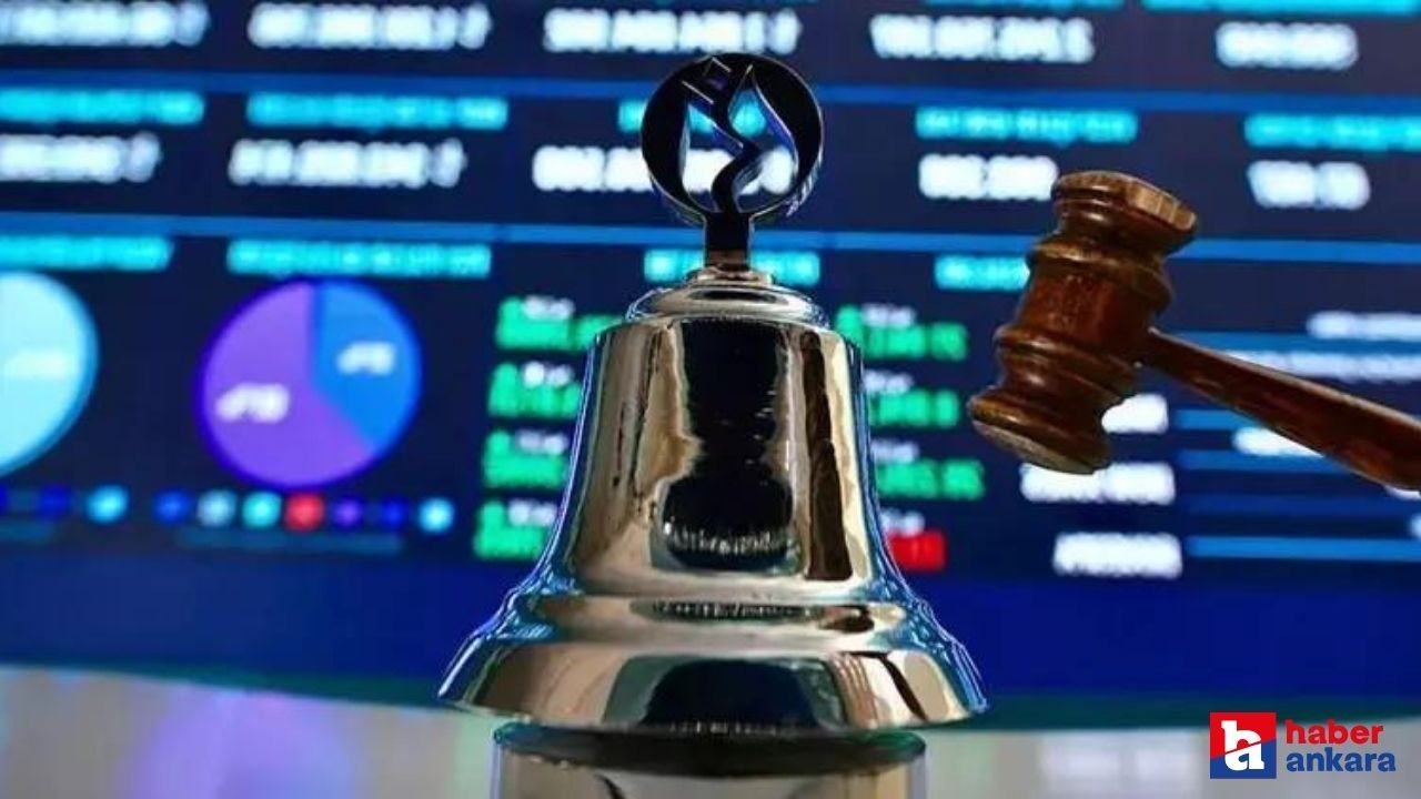 1000 Yatırımlar Holding halka arz ne zaman, hangi bankalarda var, kaç lot verir, fiyatı nedir?