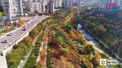 Ankara'nın en nezih semti! Yapay zeka seçti işte başkentin en yaşanabilir semtleri