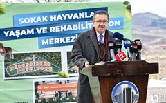 Türkiye'nin en büyük  Sokak Hayvanları Rehabilitasyon Merkezi Altındağ'da açılıyor