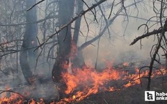Beypazarı'nda orman yangını: Ekiplerin müdahalesi sürüyor