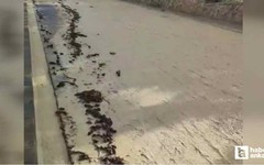 Nallıhan'da sağanak yağış sele neden oldu