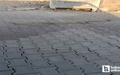 Yenimahalle Karşıyaka Mezarlığı'nda gezen yılanlar kamerada!