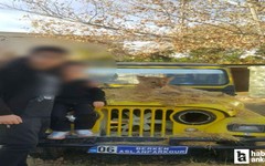 Manavgat'ta öldürülen Zeus'un Ankara'daki yavru hali ortaya çıktı
