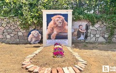 Öldürülen Aslan Zeus'un sahibi Ankara'da temsili mezar yaptırdı