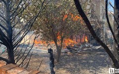 Çanakkale'deki orman yangınında baz villalar yandı