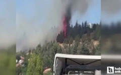 Son Dakika: Ankara'da orman yangını çıktı!