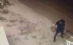 Etimesgut'ta bir şahsın mağaza önündeki köpeğe şiddet uyguladığı iddia edildi