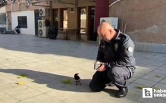 Ankara'da görevli polis memuru ile kuşun dostluğu yürekleri ısıttı