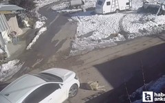 Yenimahalle'de seyir halindeki araç yolda yatan köpeği ezdi!