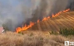 Beypazarı'nda yangın paniği: Ekili tarım arazisi alev aldı!