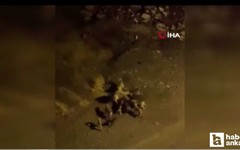 Altındağ'da birbirlerine saldıran sokak köpekleri korkuttu!