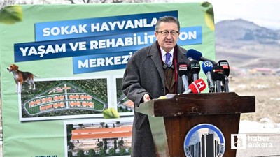 Altındağ'da sokak hayvanlarına özel Yaşam ve Rehabilitasyon Merkezi