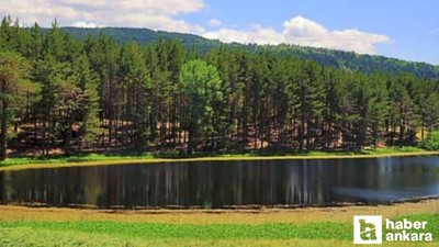 Kızılcahamam yangınında zarar gören orman için tohum bombası ekiliyor