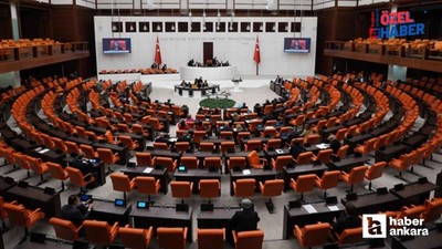 TBMM'nin onayına sunuldu! Türkiye Tuz Enstitüsü Ankara'da kurulacak