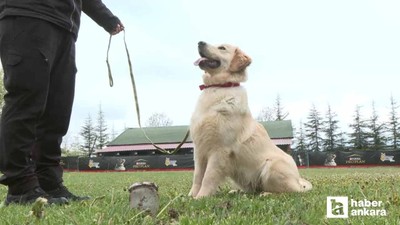Ankara'daki merkezde Kayıp Kaçak Su Tespit Köpeği yetiştiriliyor