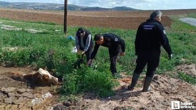 Kırıkkale'de bataklığa saplanan ineği itfaiye ekipleri kurtardı