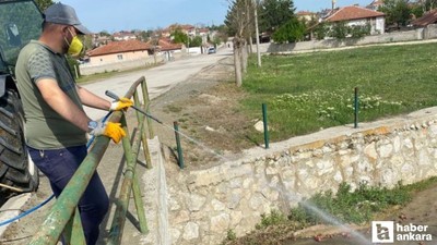 Çorum'da belediye ekipleri sivrisinekler için ilaçlama çalışmalarına başladı