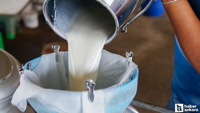 Türkiye'nin bu yıl çiğ süt ihracatında 700 milyon dolar ulaşması bekleniyor