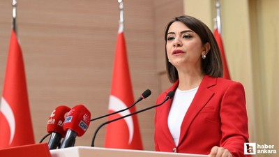 CHP'li Taşçıer düzenlenen basın toplantısında konuştu