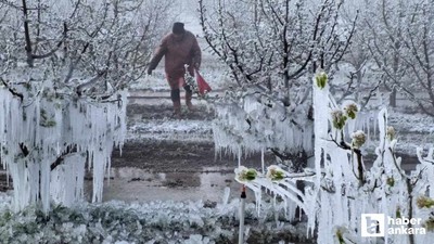 Zirai Don Meclis Araştırma Komisyonu ilk toplantısını 14 Mayıs'ta yapacak