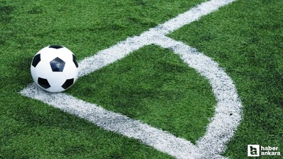 1. Lig takımlarına 2024-25 sezonunda teknik direktör dayanmadı
