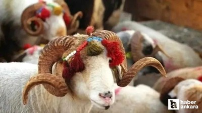 Okulların kapanmasına, Kurban Bayramı'na kaç gün kaldı, bayrama ne kadar var?