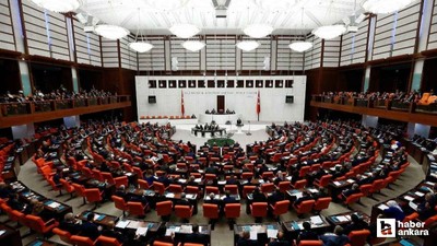 Türkiye Büyük Millet Meclisi engellilerin yaşadıkları sorunları araştıracak
