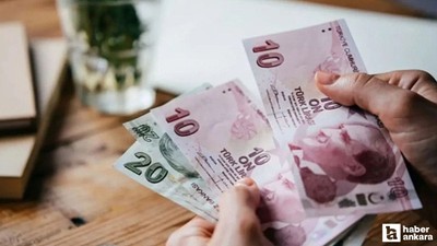 Karar Resmi Gazete'de yayımlandı: Destek tutarına 10 TL zam