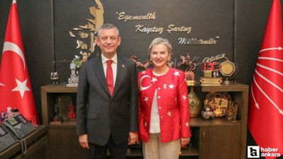 CHP "Hayvan Bakımevleri İzleme ve Değerlendirme Komisyonu" kurduklarını açıkladı