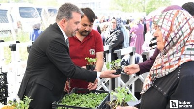 Pursaklar Belediyesi ata tohumu sebze fidesi dağıttı