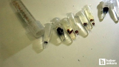 Kabus geri döndü! Havalar ısındı, vakalar yeniden hortladı mutlaka dikkat edin