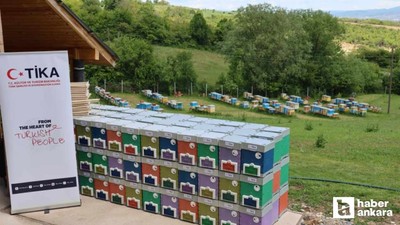 TİKA'dan Kosova'ya destek: Ana arı üretim merkezleri kuruldu
