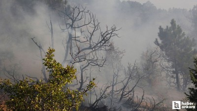 Beypazarı'nda yıldırım düşen ormanlık alanda korkutan yangın!