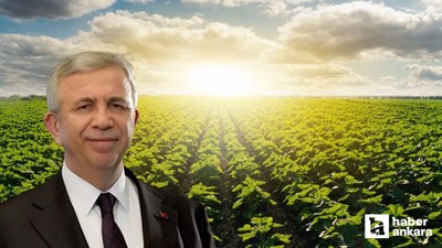 Mansur Yavaş'tan zirai don mağduru çiftçilere destek açıklaması