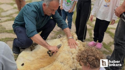 Altındağ Belediyesi Altınköy'de koyun kırpma töreni gerçekleştirdi