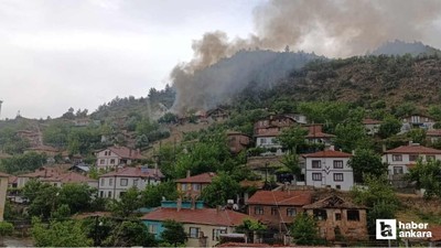 Nallıhan'da tek katlı evde çıkan yangın diğer eve sıçradı