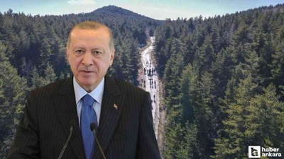 Cumhurbaşkanı Erdoğan Etimesgut Havaalanı'nda konuştu: 'Orman varlığımız tehdit altında'