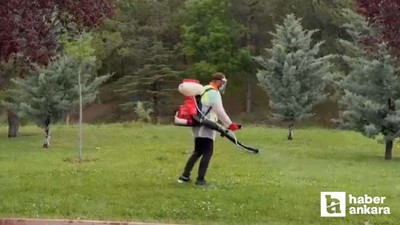 Etimesgut Belediyesi haşerelere karşı ilaçlamalara devam ediyor