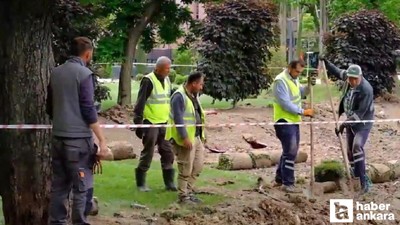 ABB, Güvenpark'ta yeşil alan zenginleştirme çalışması yaptı