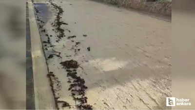 Nallıhan'da sağanak yağış sele neden oldu