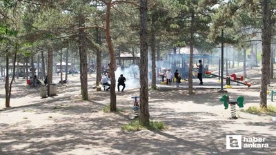 Ankara'da park ve mesire alanları bayram tatilinde doldu taştı