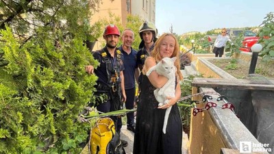 Çankaya'da apartman boşluğuna düşen kediyi itfaiye ekipleri halatla inerek kurtardı