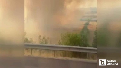 Polatlı'da hobi bahçesi yangını: Arpa tarlası kül oldu!