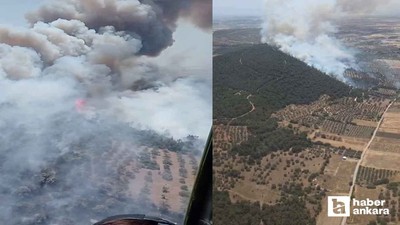 İzmir Foça son dakika orman yangını: Yangın hızla büyüyor!