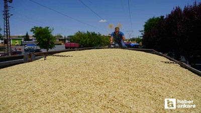 Polatlı'da yılın ilk arpa üreticisi altınla ödüllendirildi
